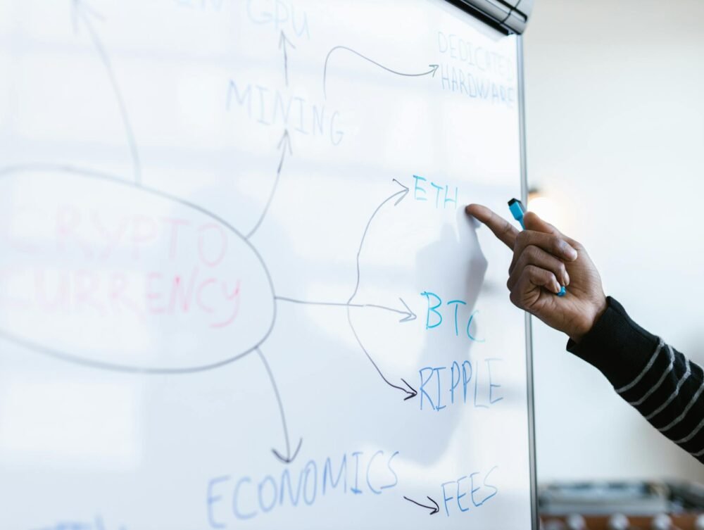 Para novos modelos de negócio que estão surgindo, a paisagem empresarial é moldada por inovações como a economia de assinatur